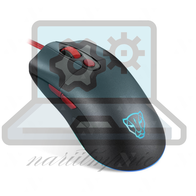 computer mouse